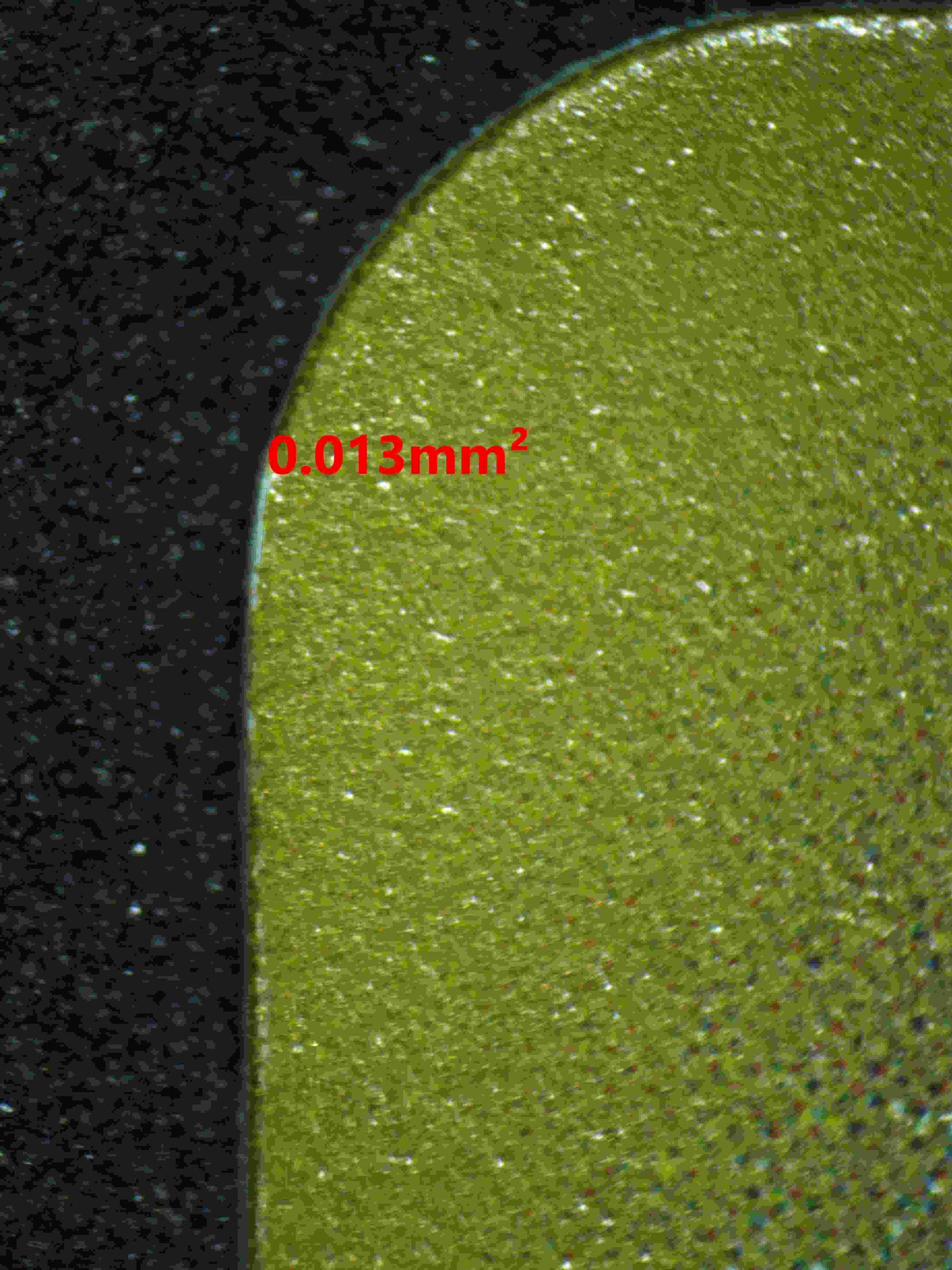 06222 DETECTIVE PIKACHU (JAPANESE) Grading Card