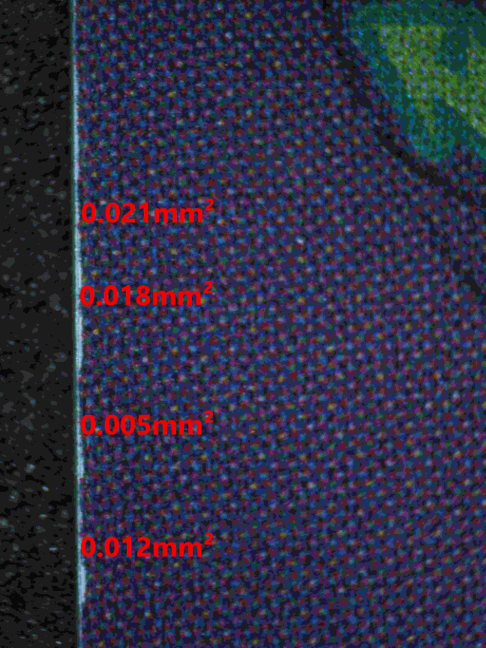 06228 PERONA (JAPANESE) Grading Card