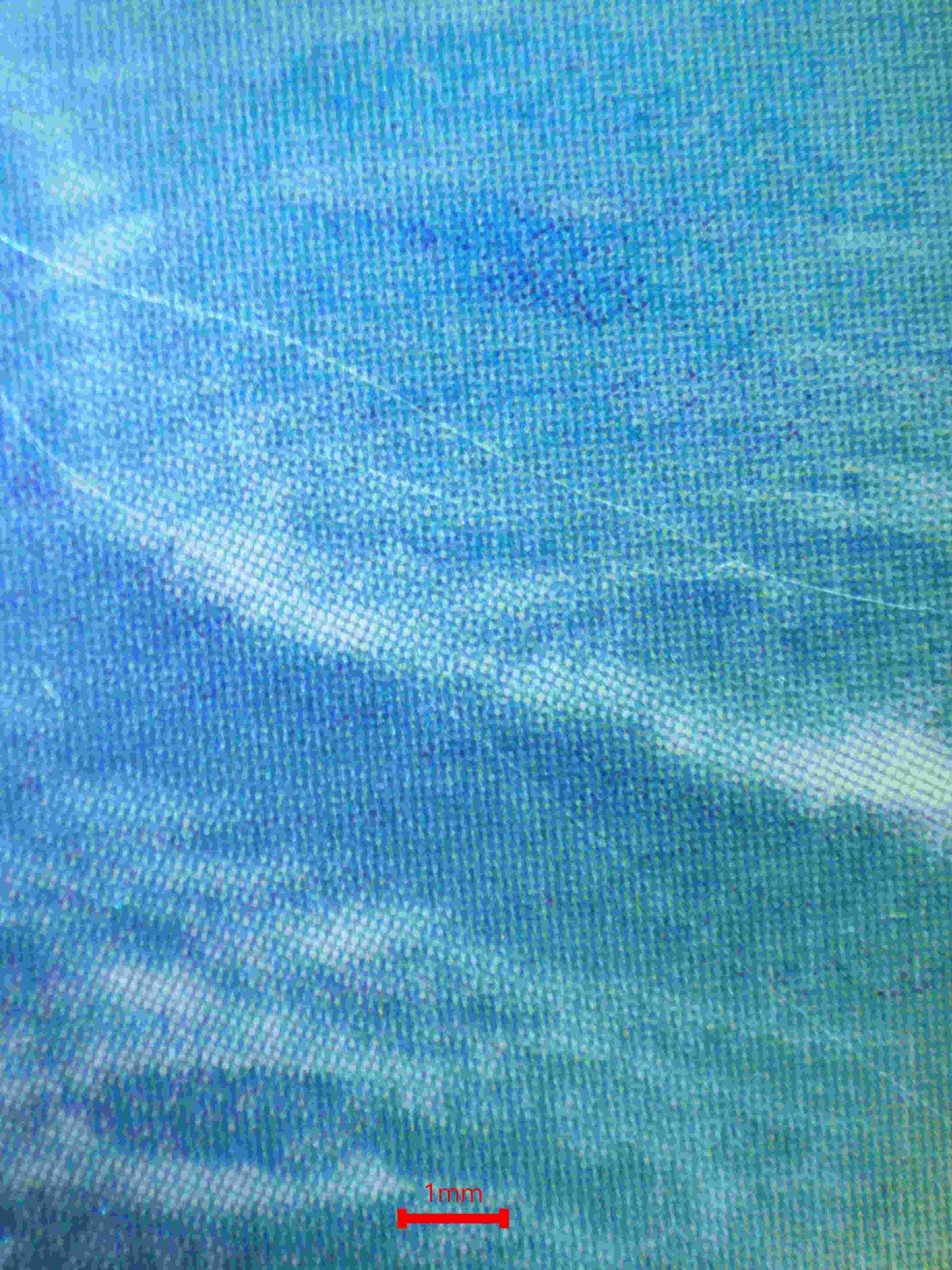 06230 SQUIRTLE (JAPANESE) Grading Card