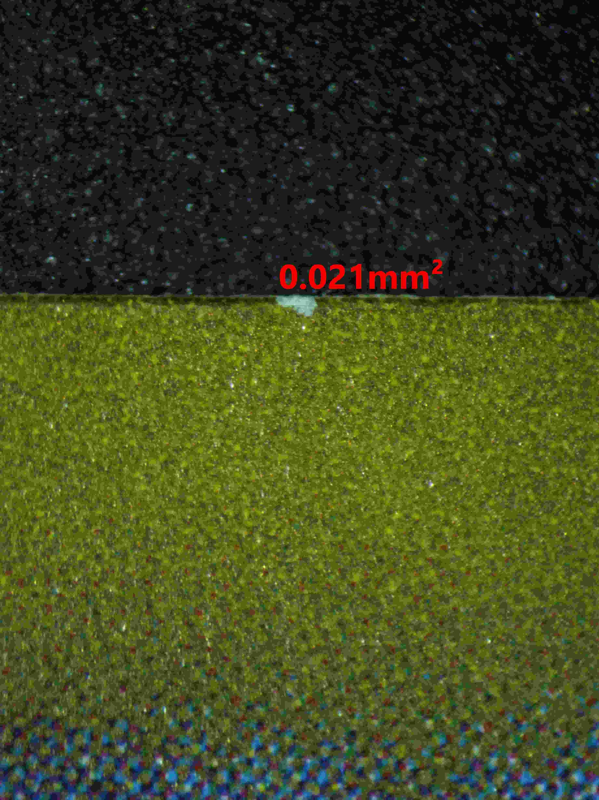 06230 SQUIRTLE (JAPANESE) Grading Card