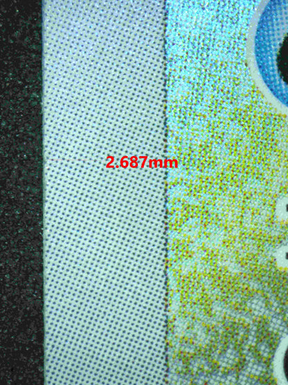 06230 SQUIRTLE (JAPANESE) Grading Card