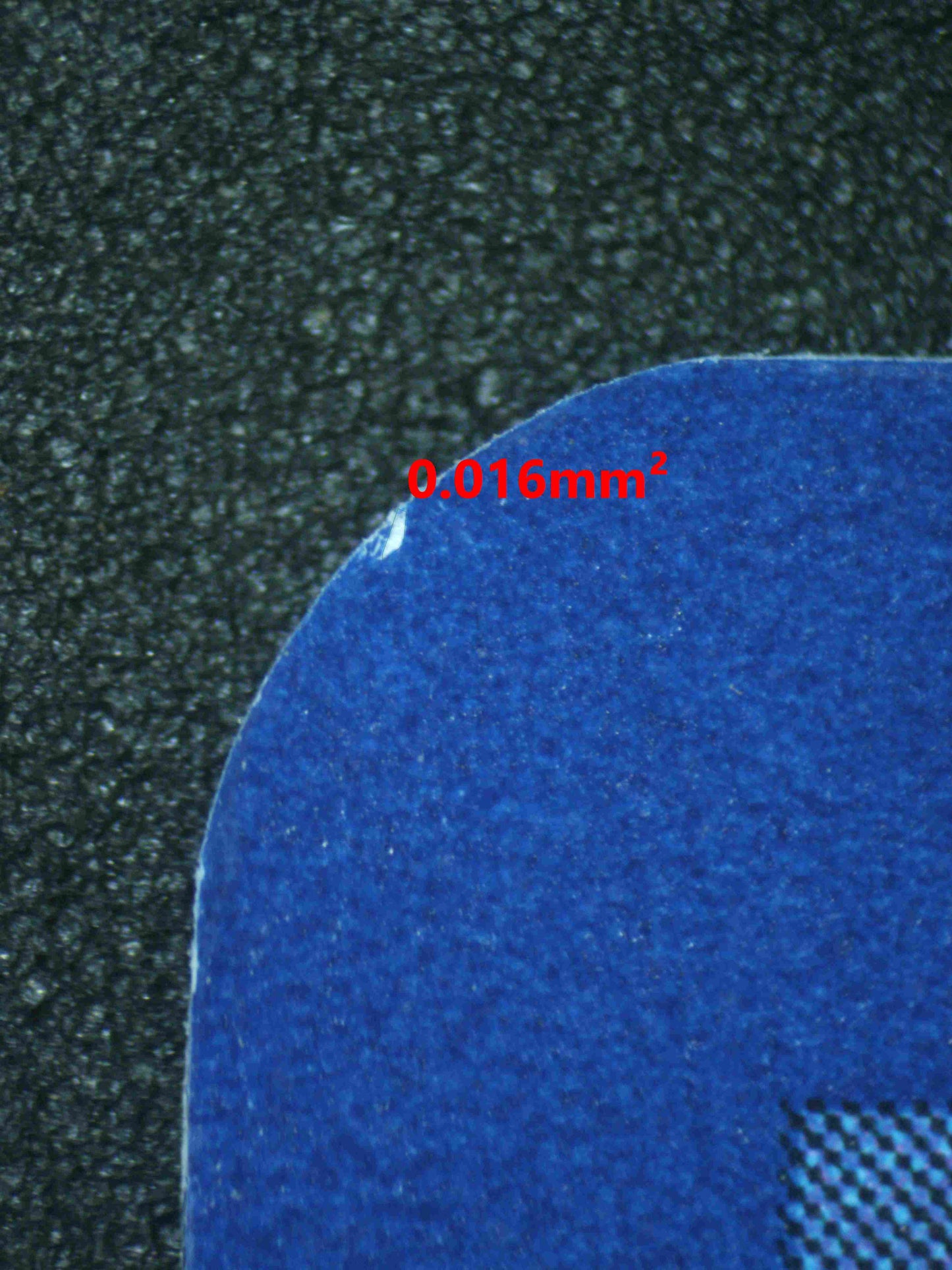 06240 MEW EX Grading Card