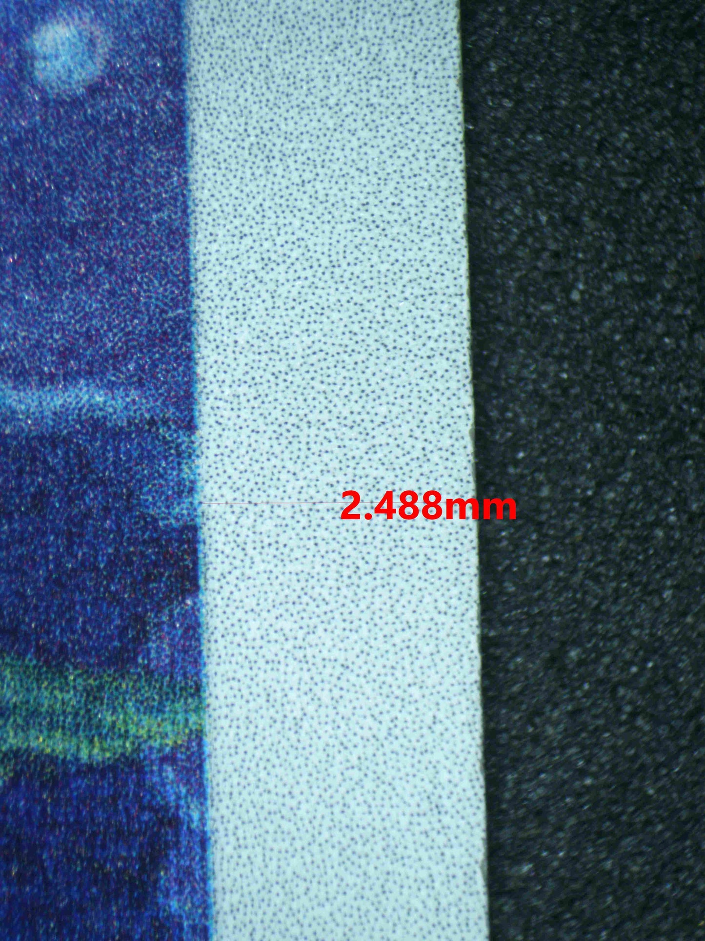 06242 WAILORD Grading Card