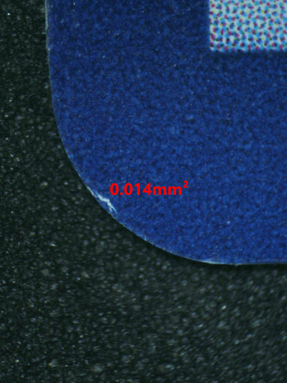 06243 N'S ZOROARK EX Grading Card