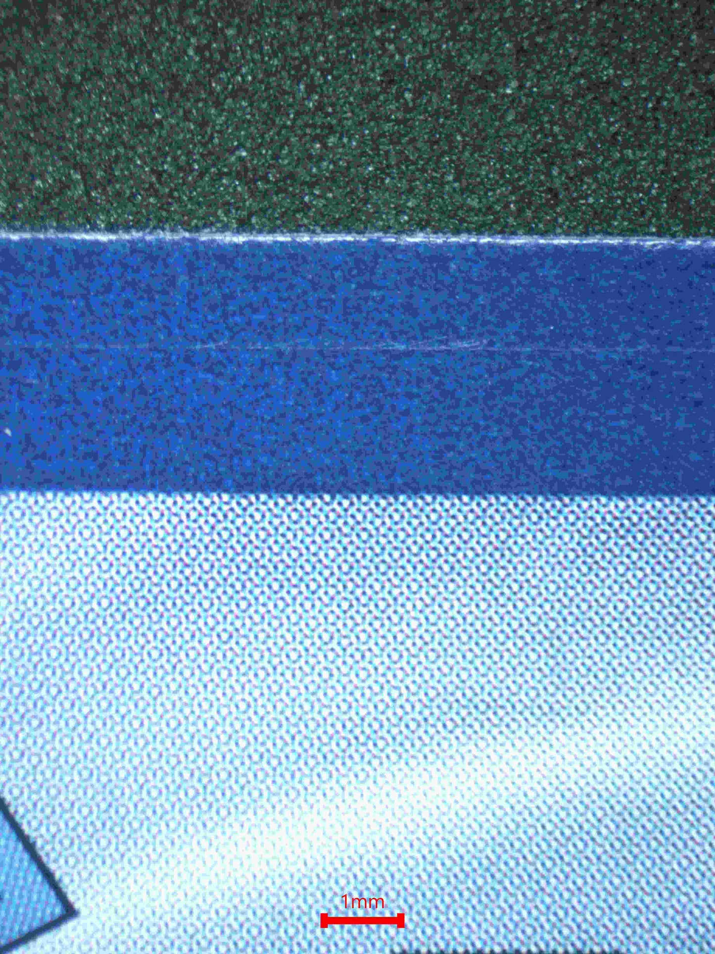 06245 CYNTHIA'S AMBITION (SPANISH) Grading Card