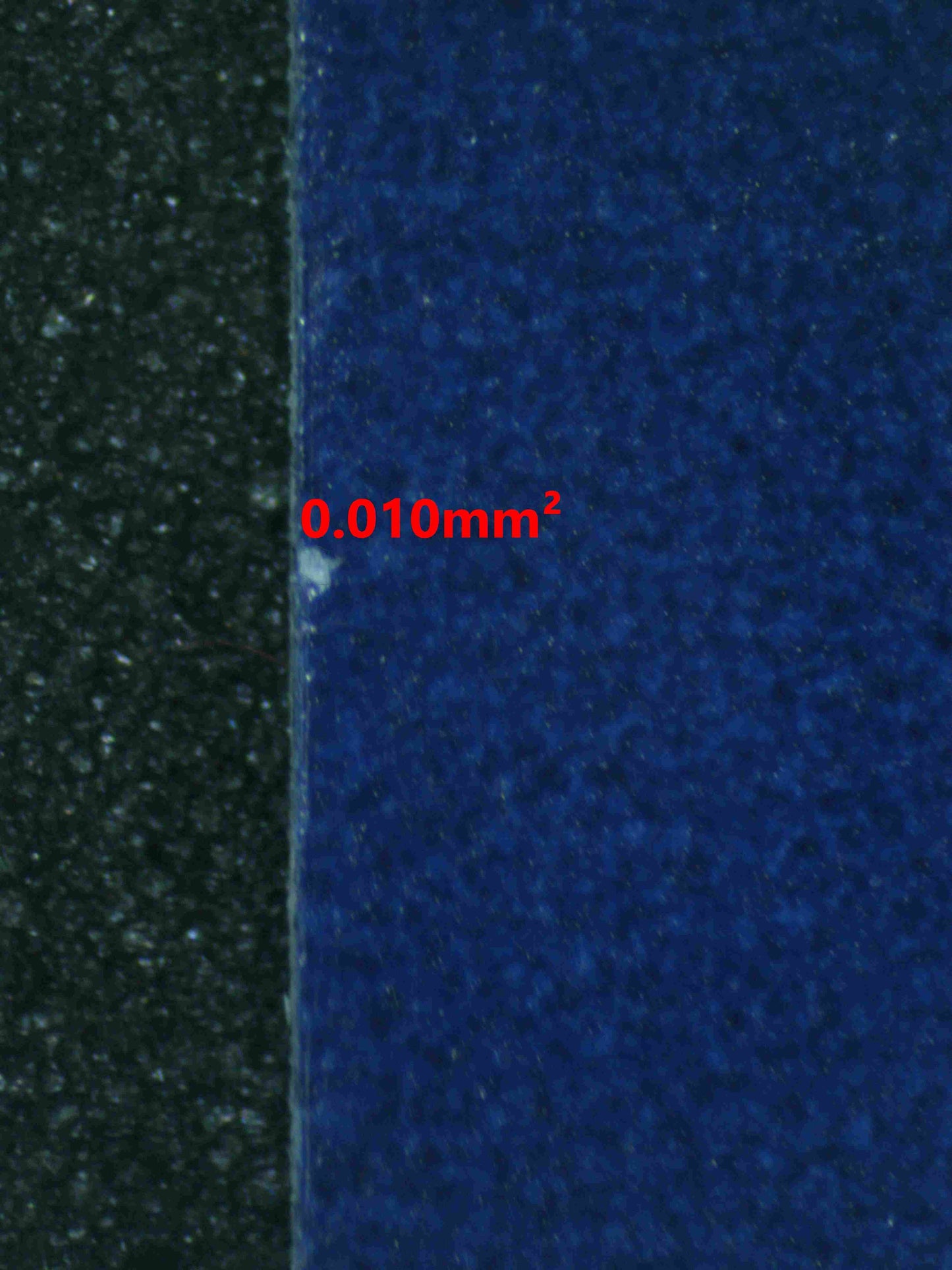 06258 SLOWPOKE Grading Card