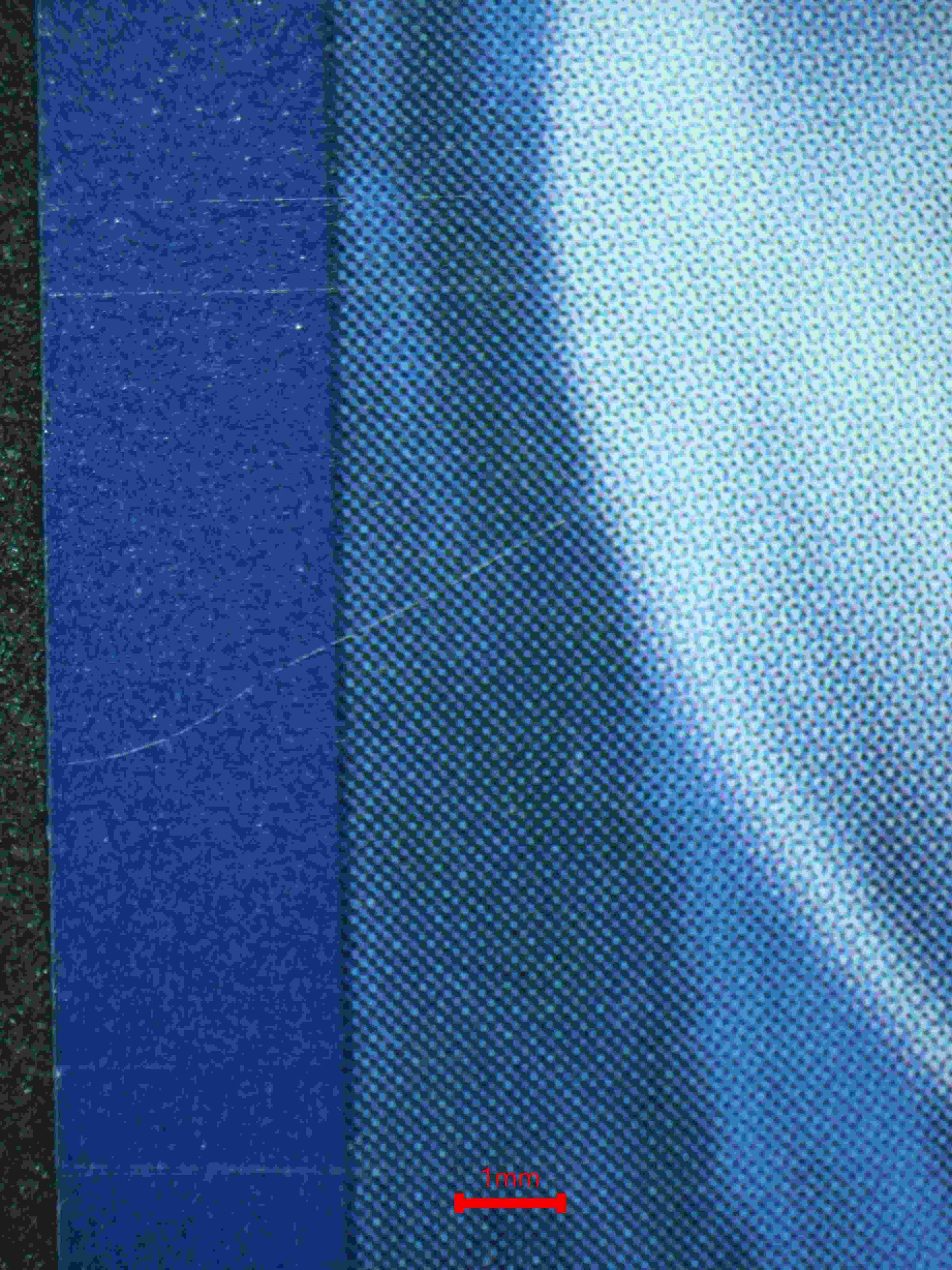 06260 EEVEE Grading Card