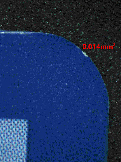 06260 EEVEE Grading Card