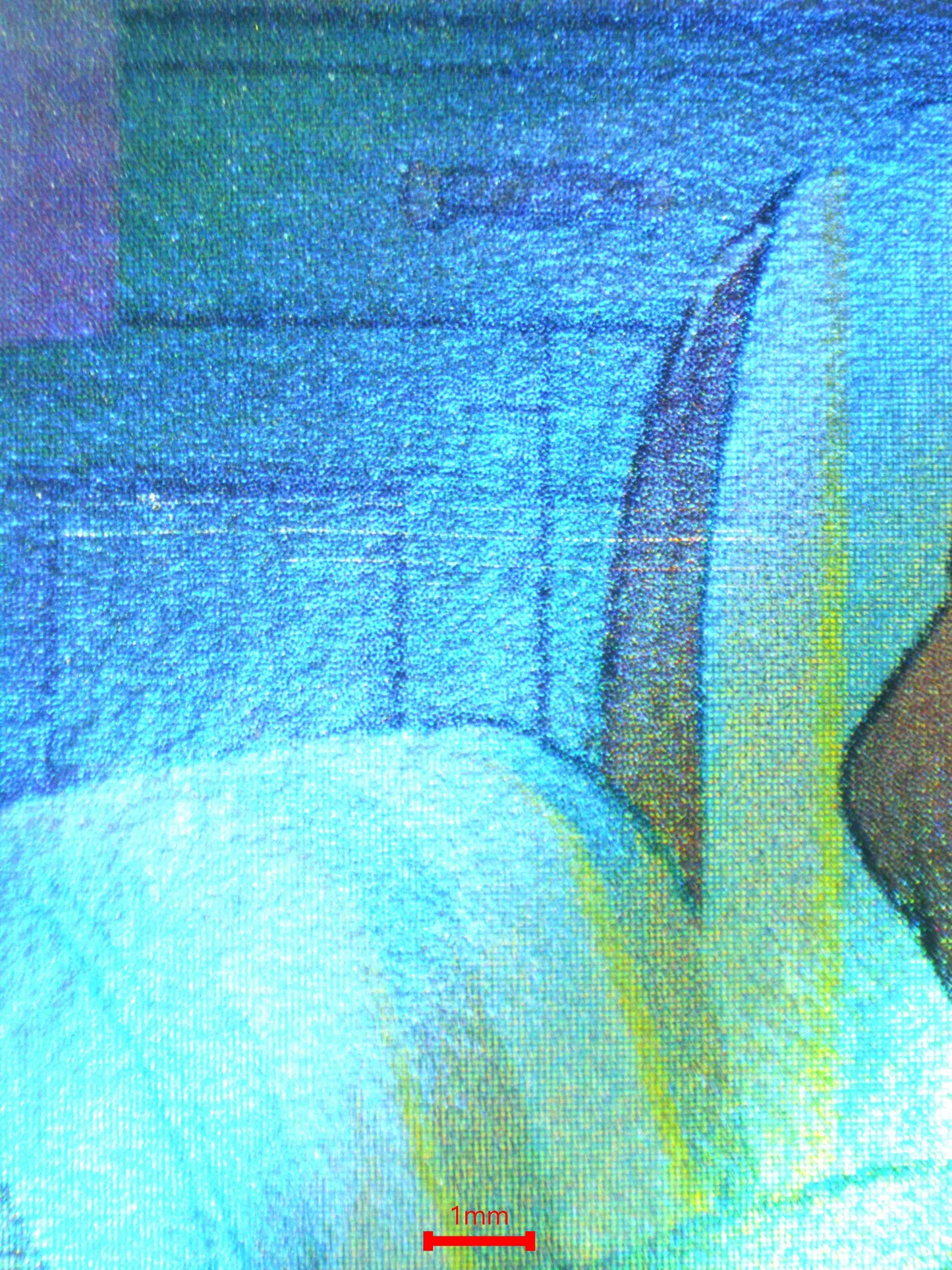 06261 RALTS Grading Card