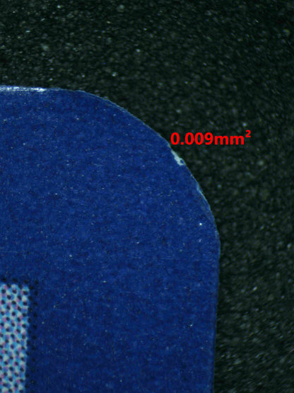 06261 RALTS Grading Card