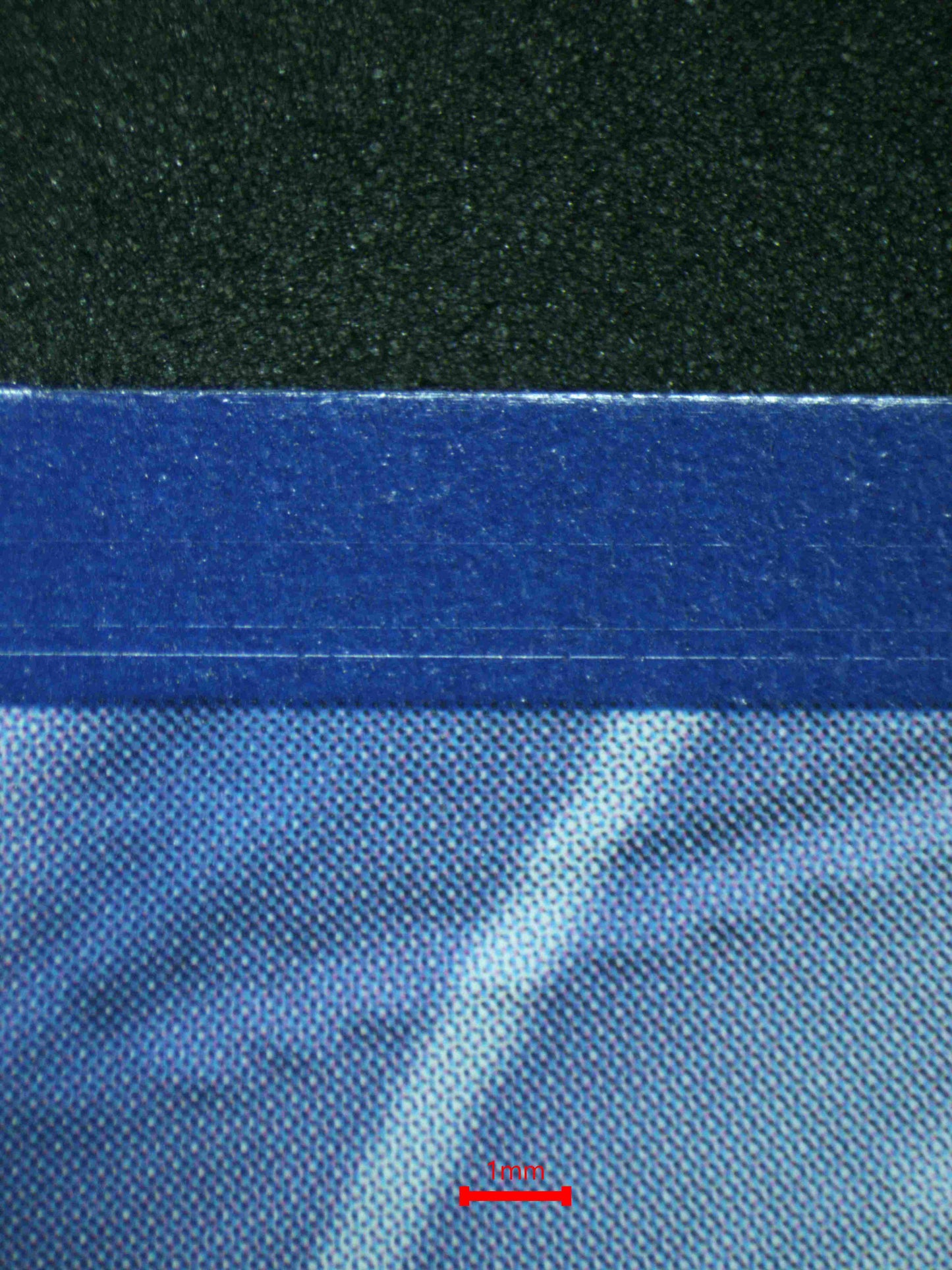 06261 RALTS Grading Card