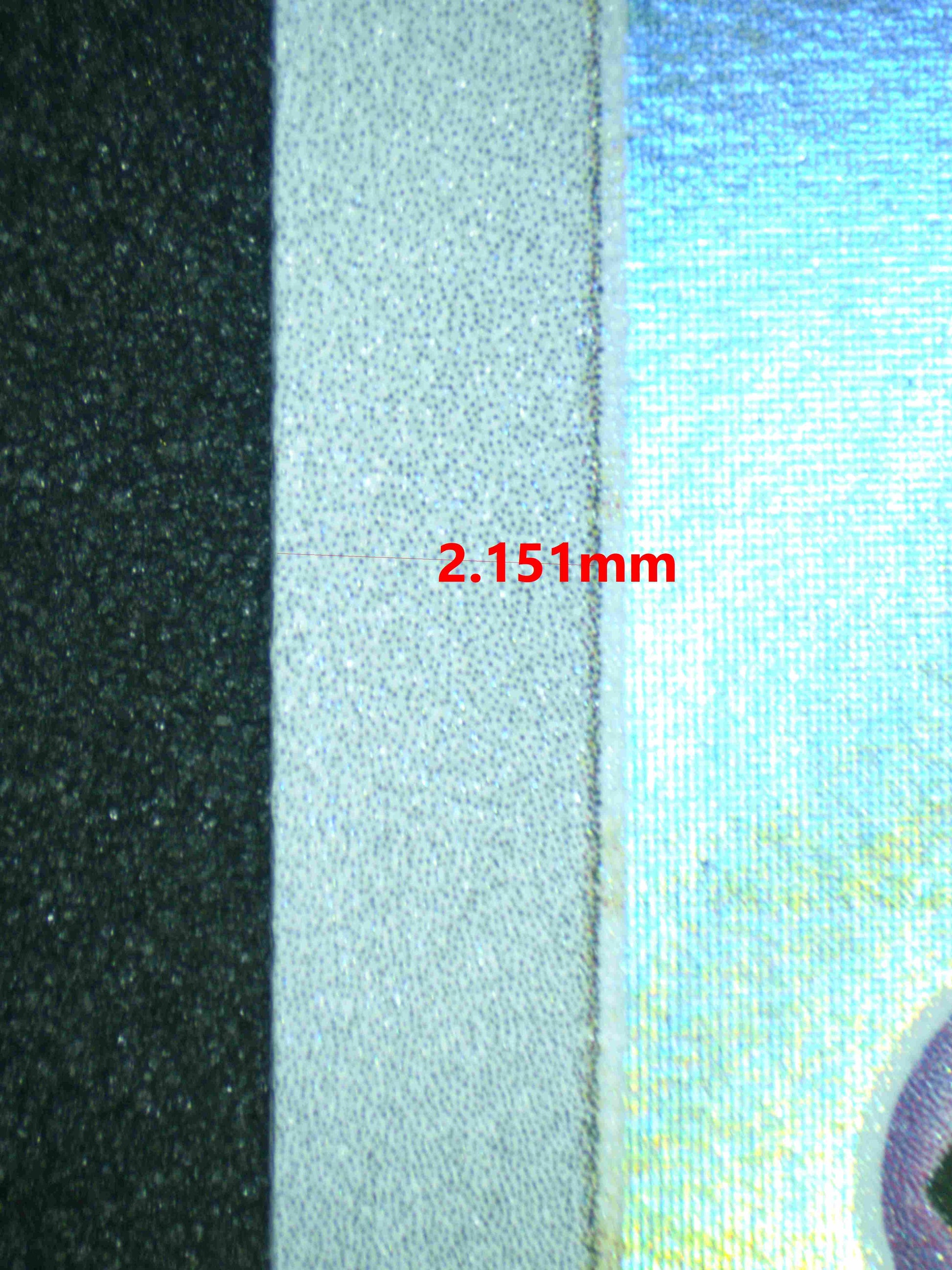 06261 RALTS Grading Card