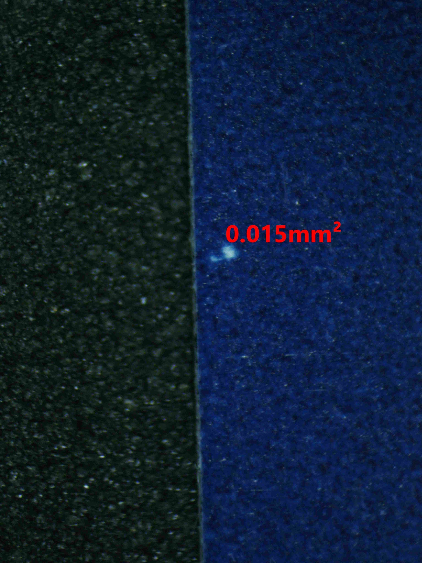 06262 KORAIDON EX Grading Card