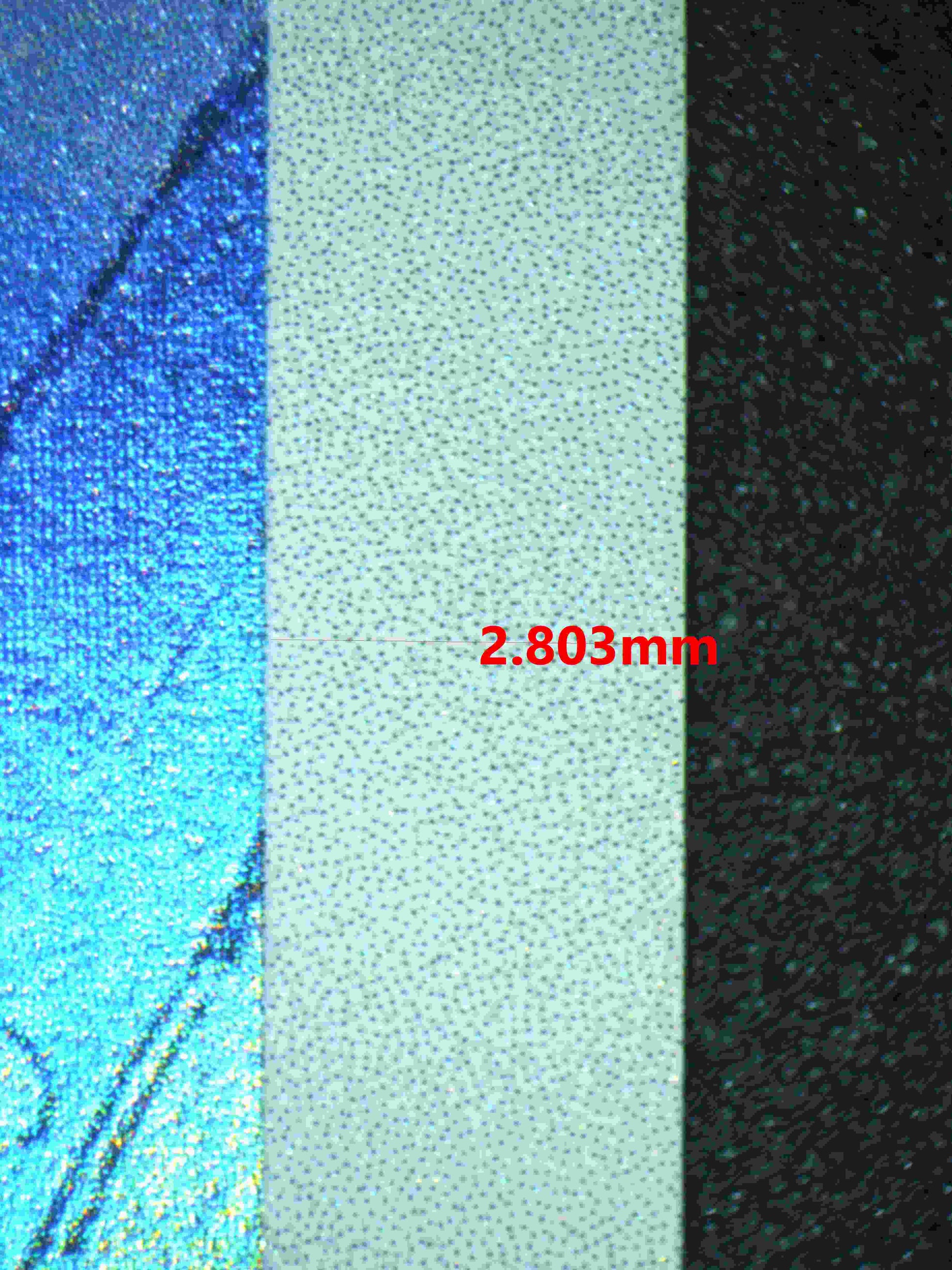 06265 GASTLY Grading Card