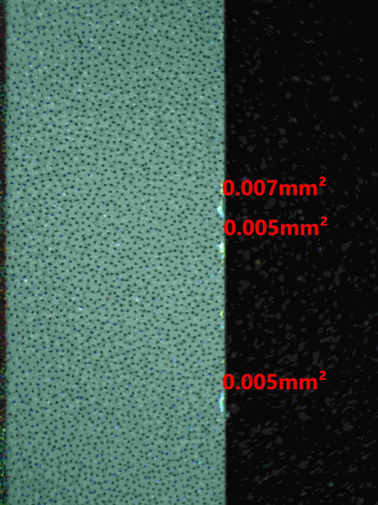 06265 GASTLY Grading Card