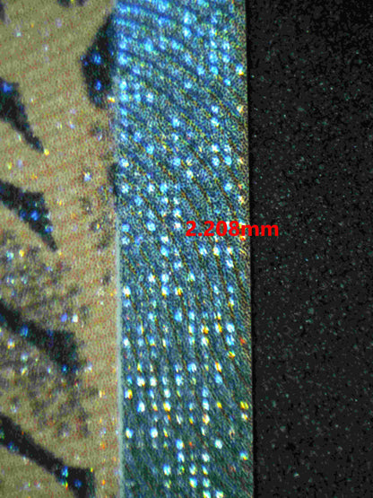 06269 SANDY SHOCKS EX Grading Card