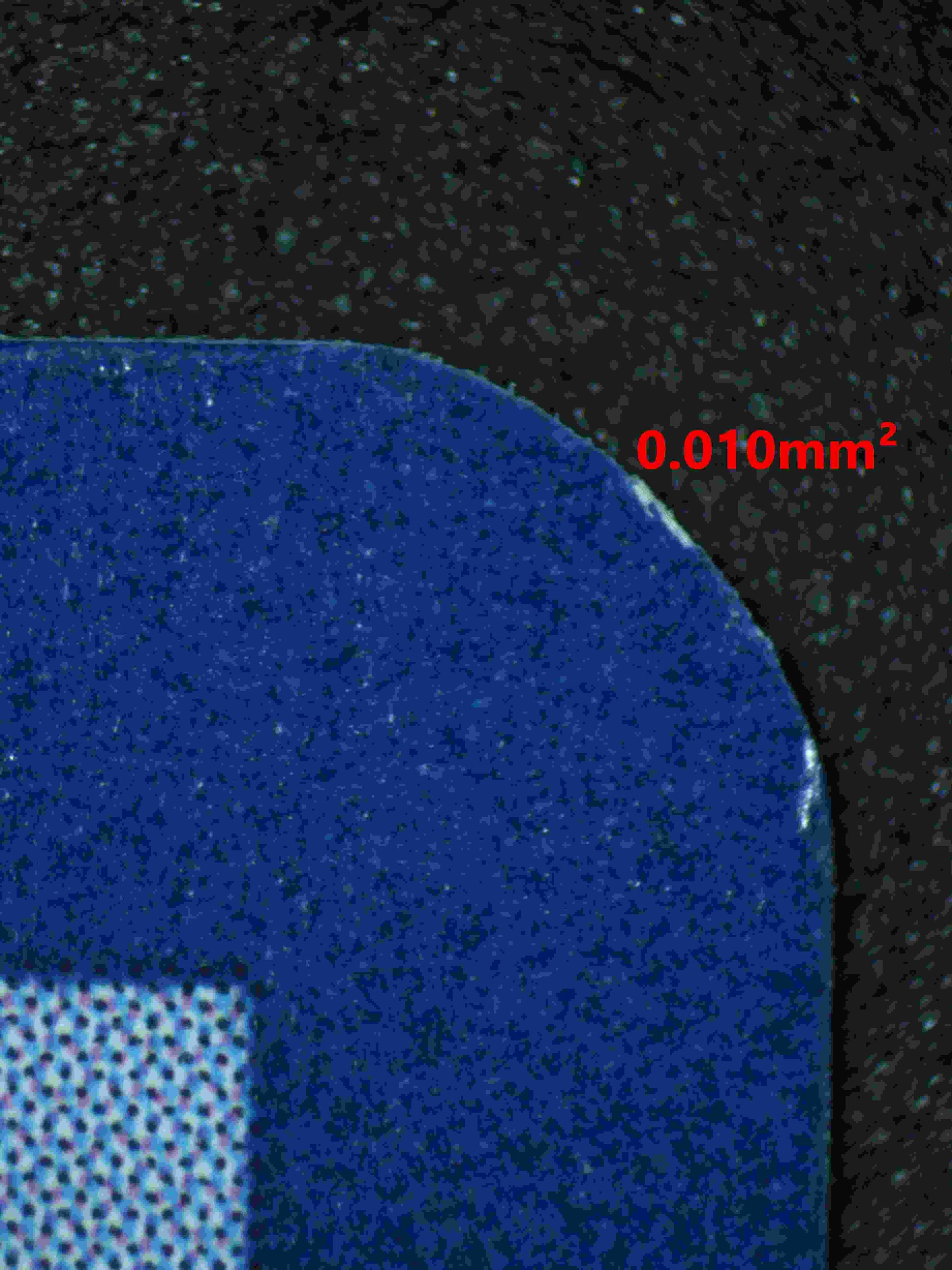 06273 IRON LEAVES EX Grading Card