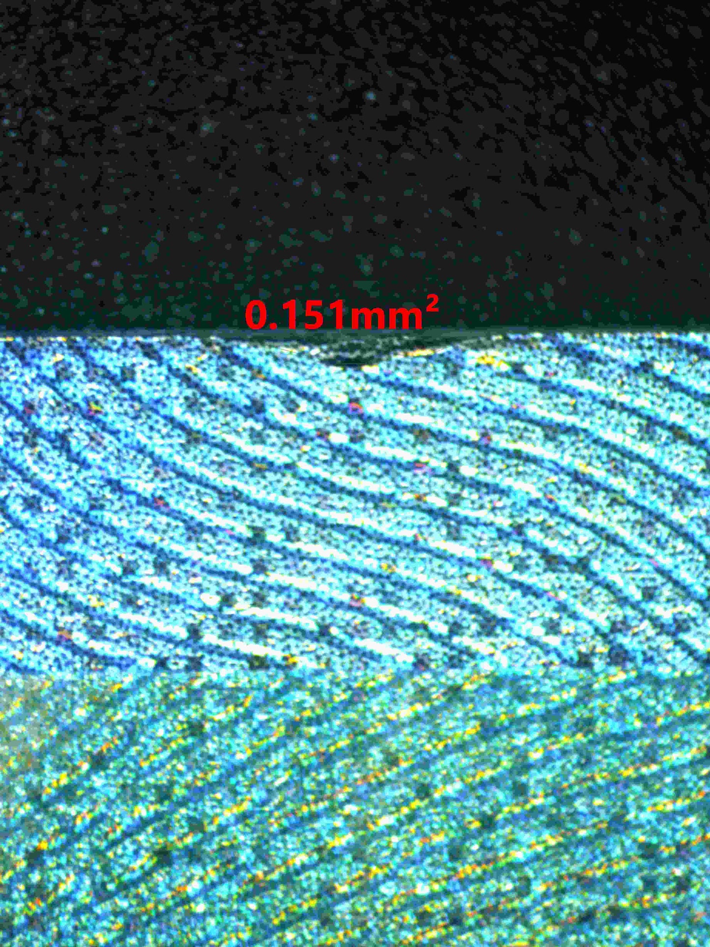 06273 IRON LEAVES EX Grading Card