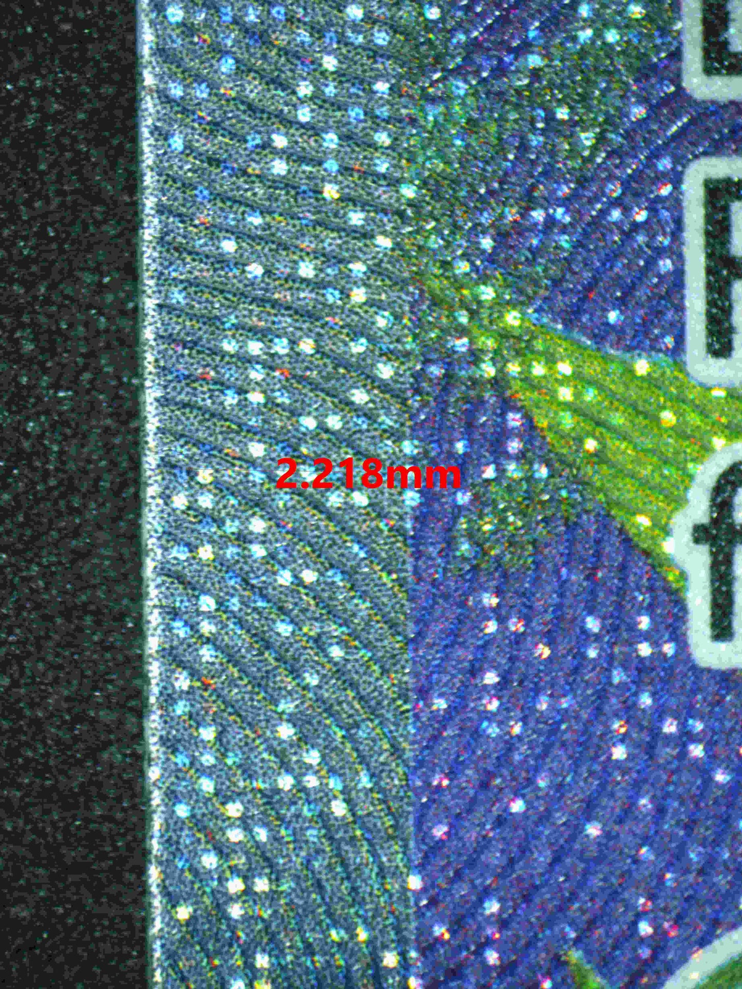 06273 IRON LEAVES EX Grading Card