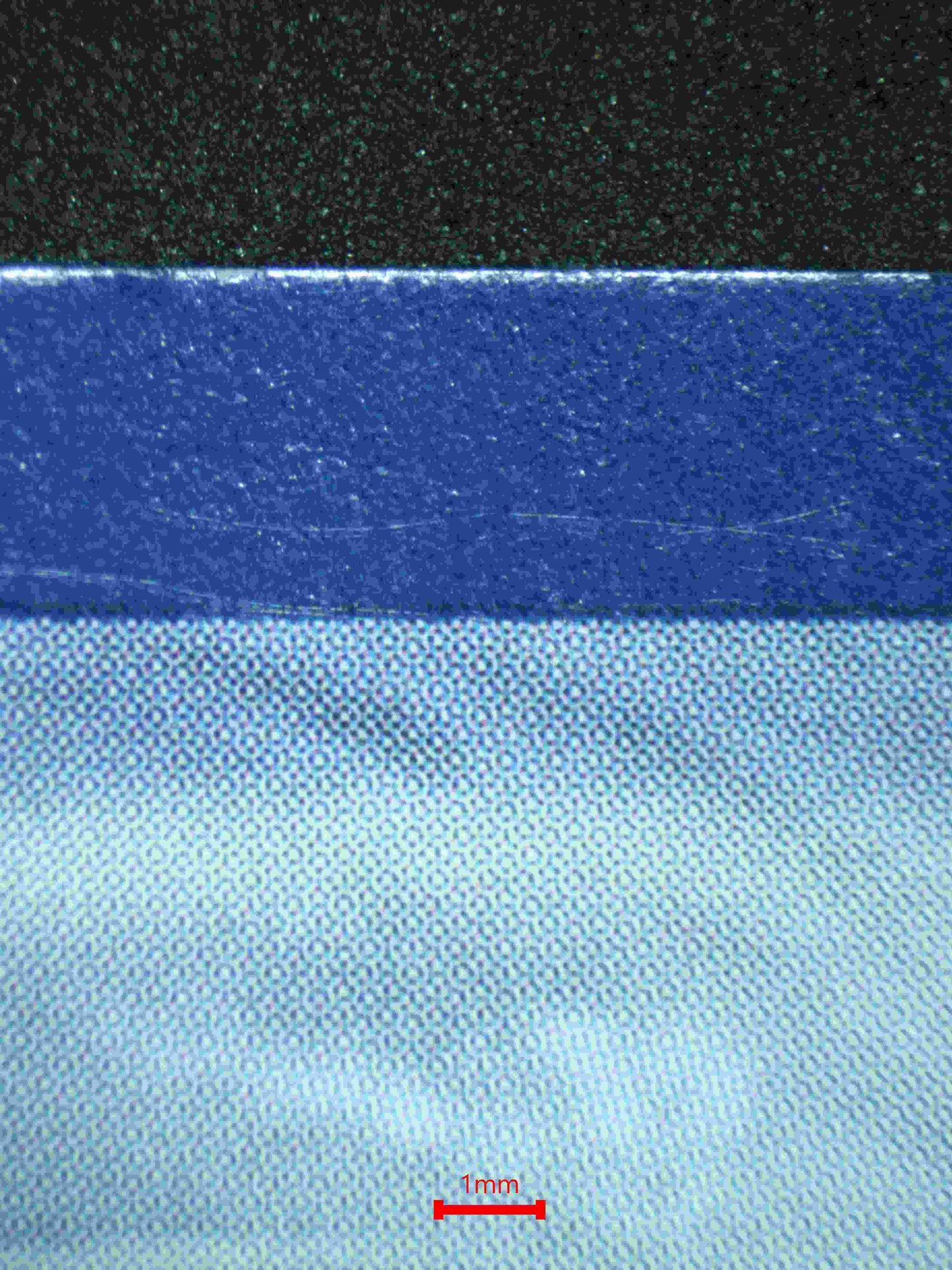 06280 MEW EX Grading Card