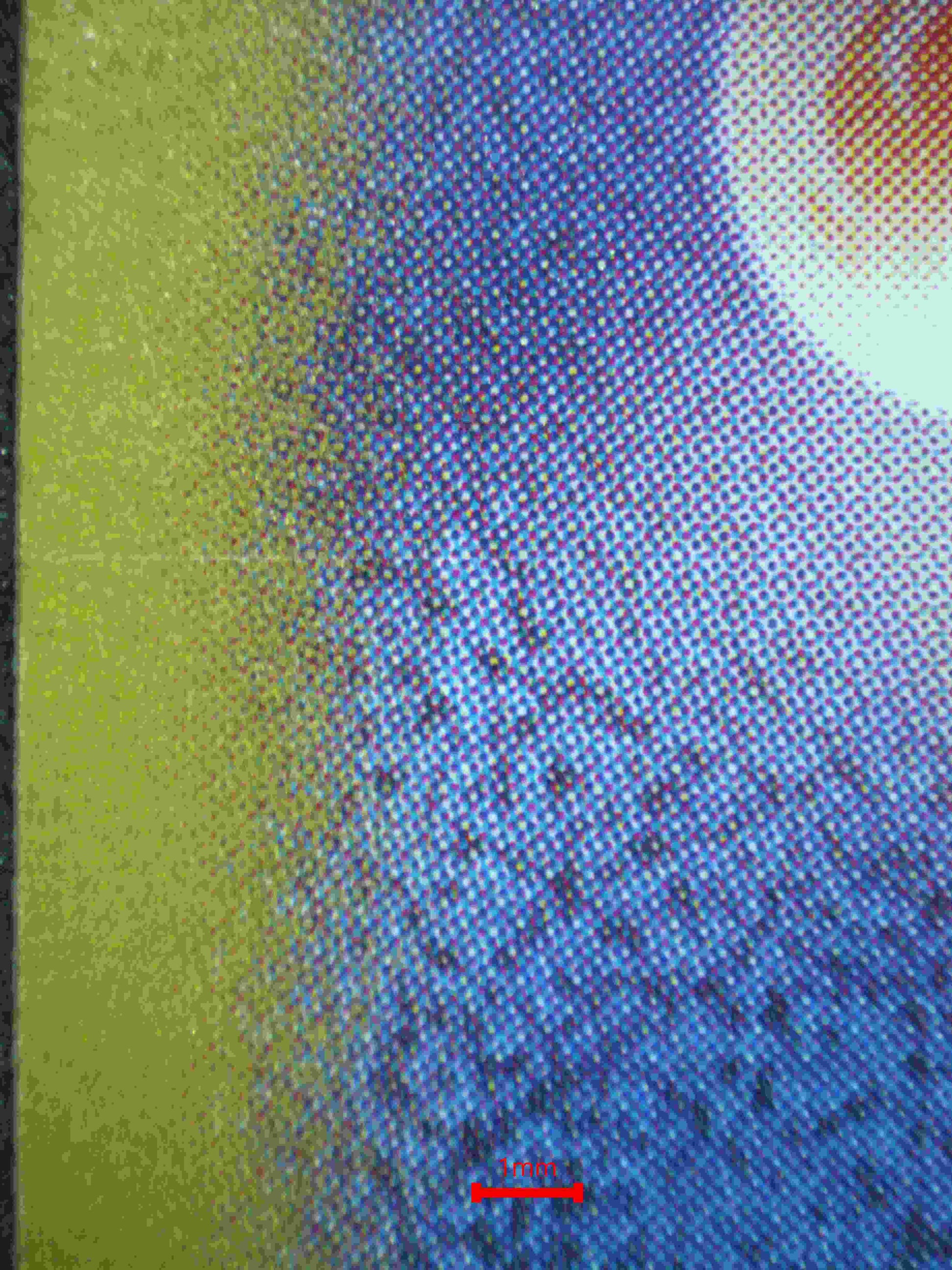 06371 ARTICUNO (JAPANESE) Grading Card