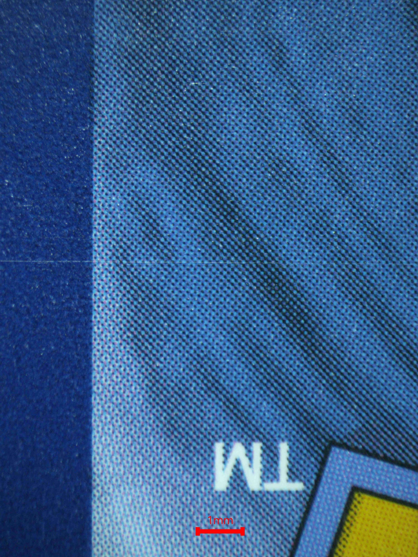 06373 GRENINJA EX Grading Card