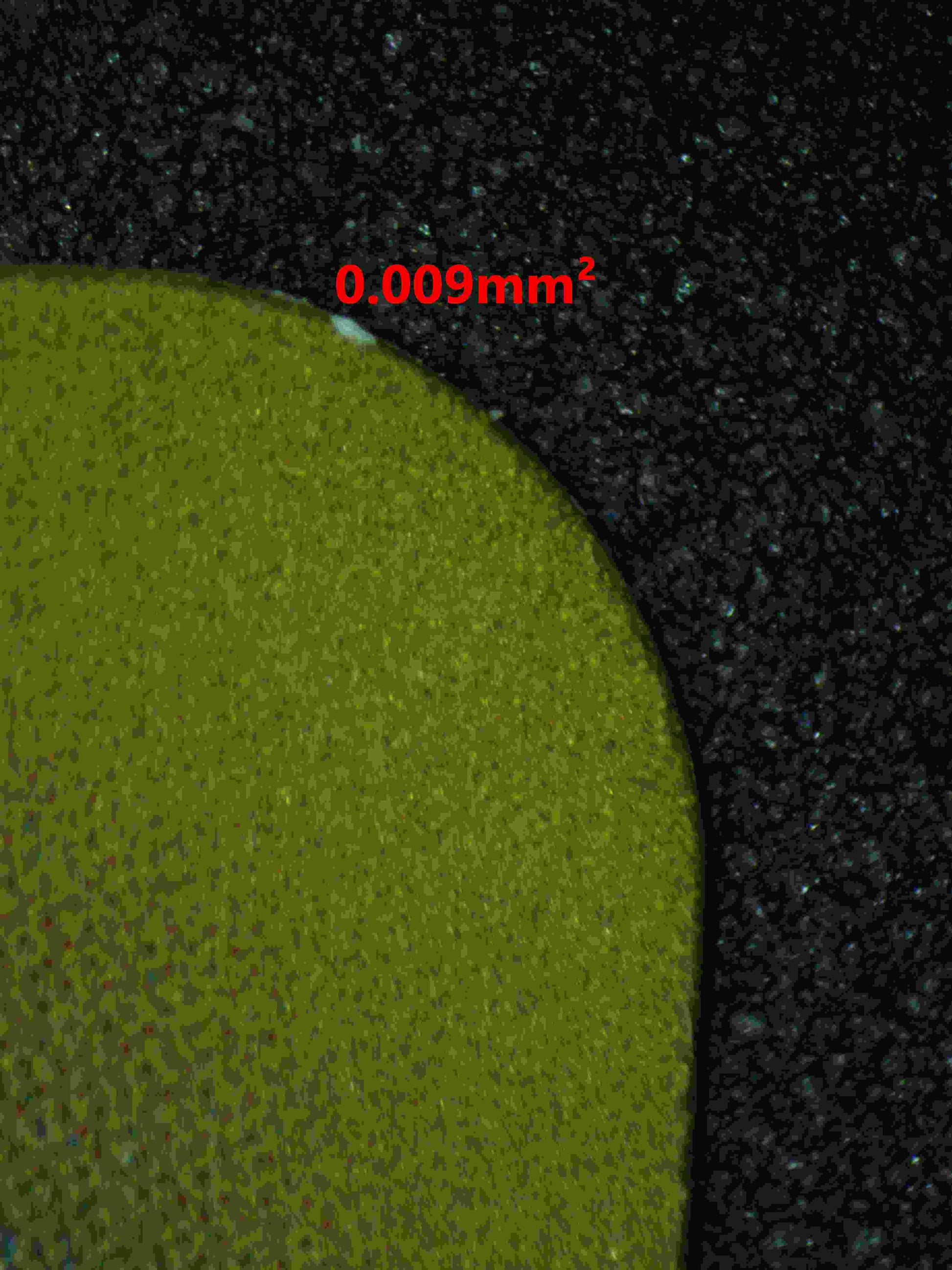 06377 CYNTHIA'S GARCHOMP EX (JAPANESE) Grading Card