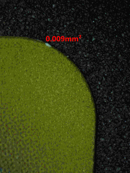 06377 CYNTHIA'S GARCHOMP EX (JAPANESE) Grading Card