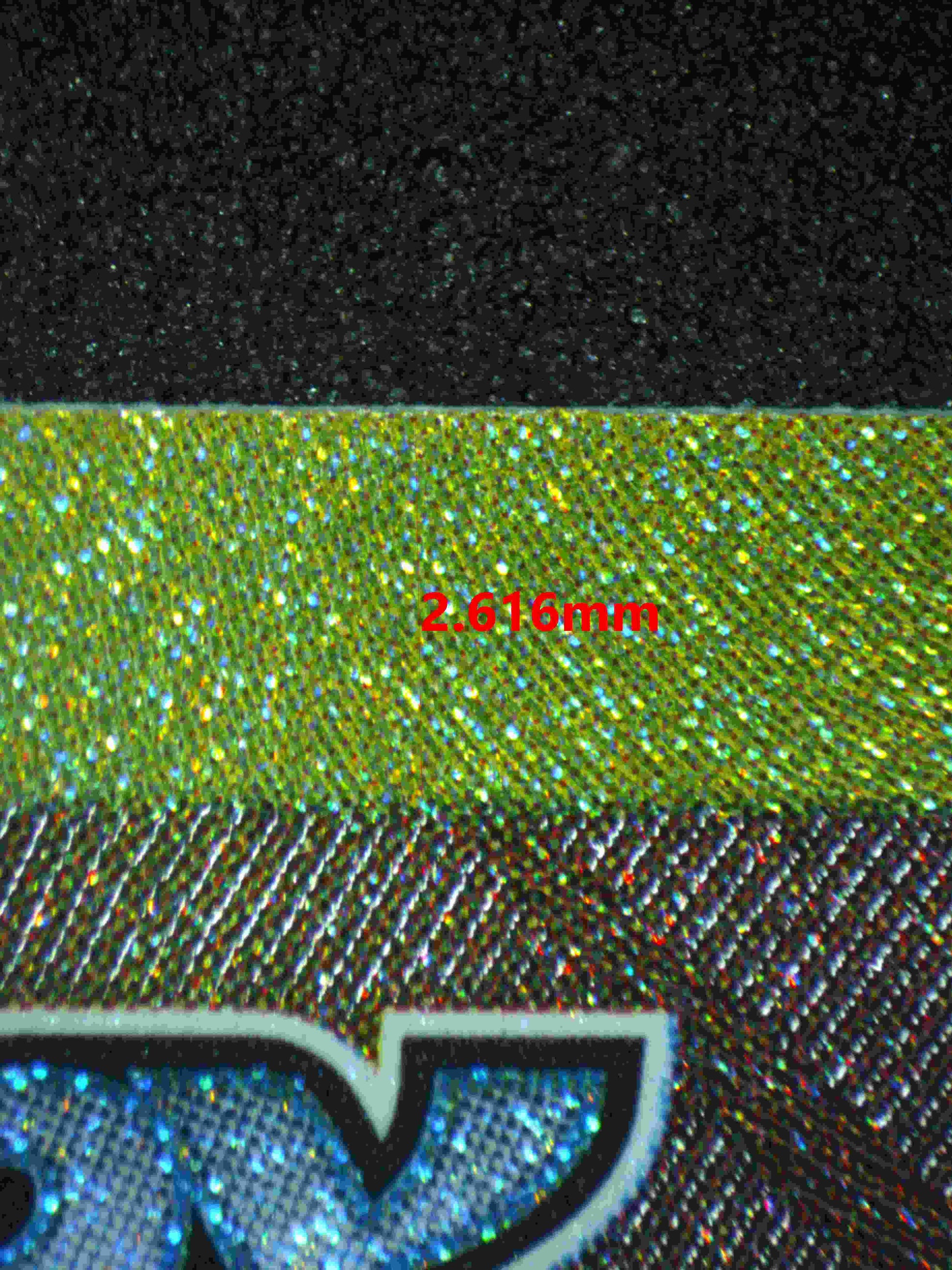 06377 CYNTHIA'S GARCHOMP EX (JAPANESE) Grading Card