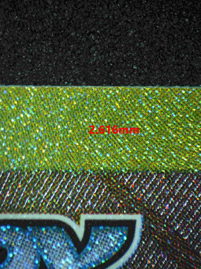 06377 CYNTHIA'S GARCHOMP EX (JAPANESE) Grading Card