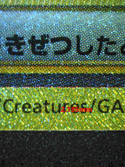 06377 CYNTHIA'S GARCHOMP EX (JAPANESE) Grading Card