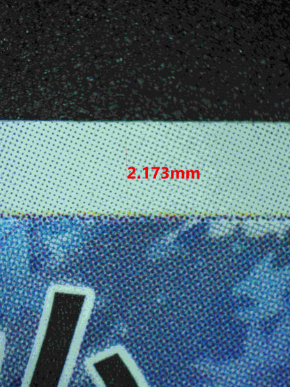 06379 N'S RESHIRAM (JAPANESE) Grading Card