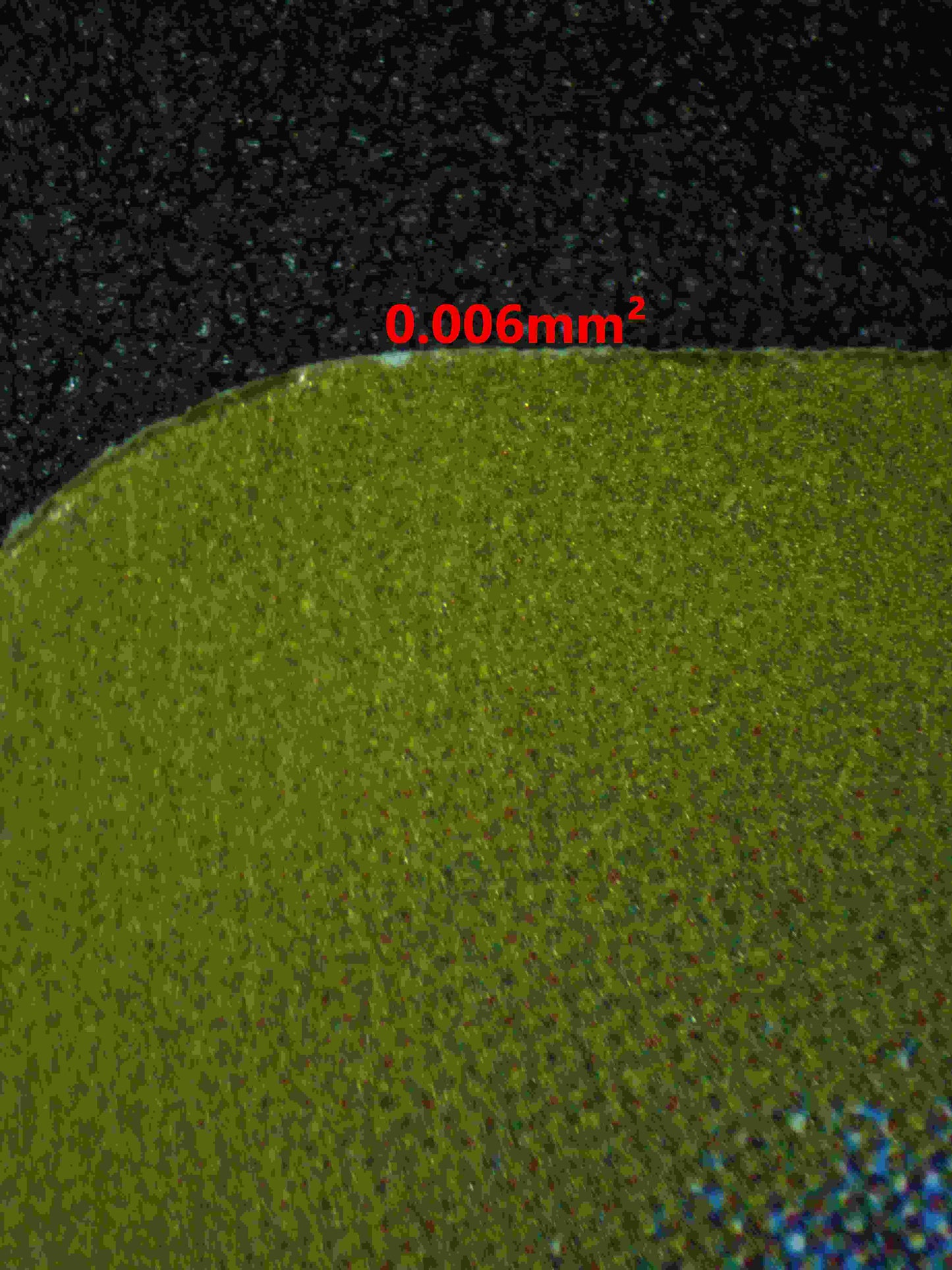 06292 SCYTHER (JAPANESE) Grading Card