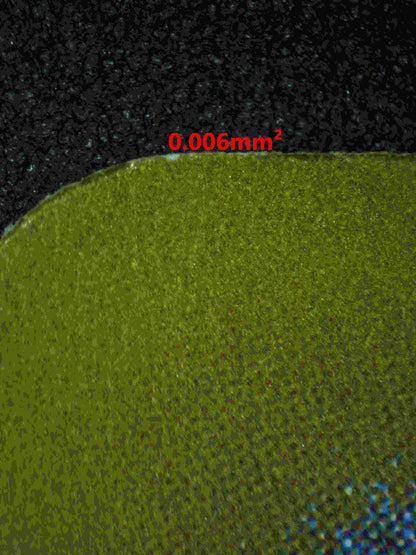 06292 SCYTHER (JAPANESE) Grading Card