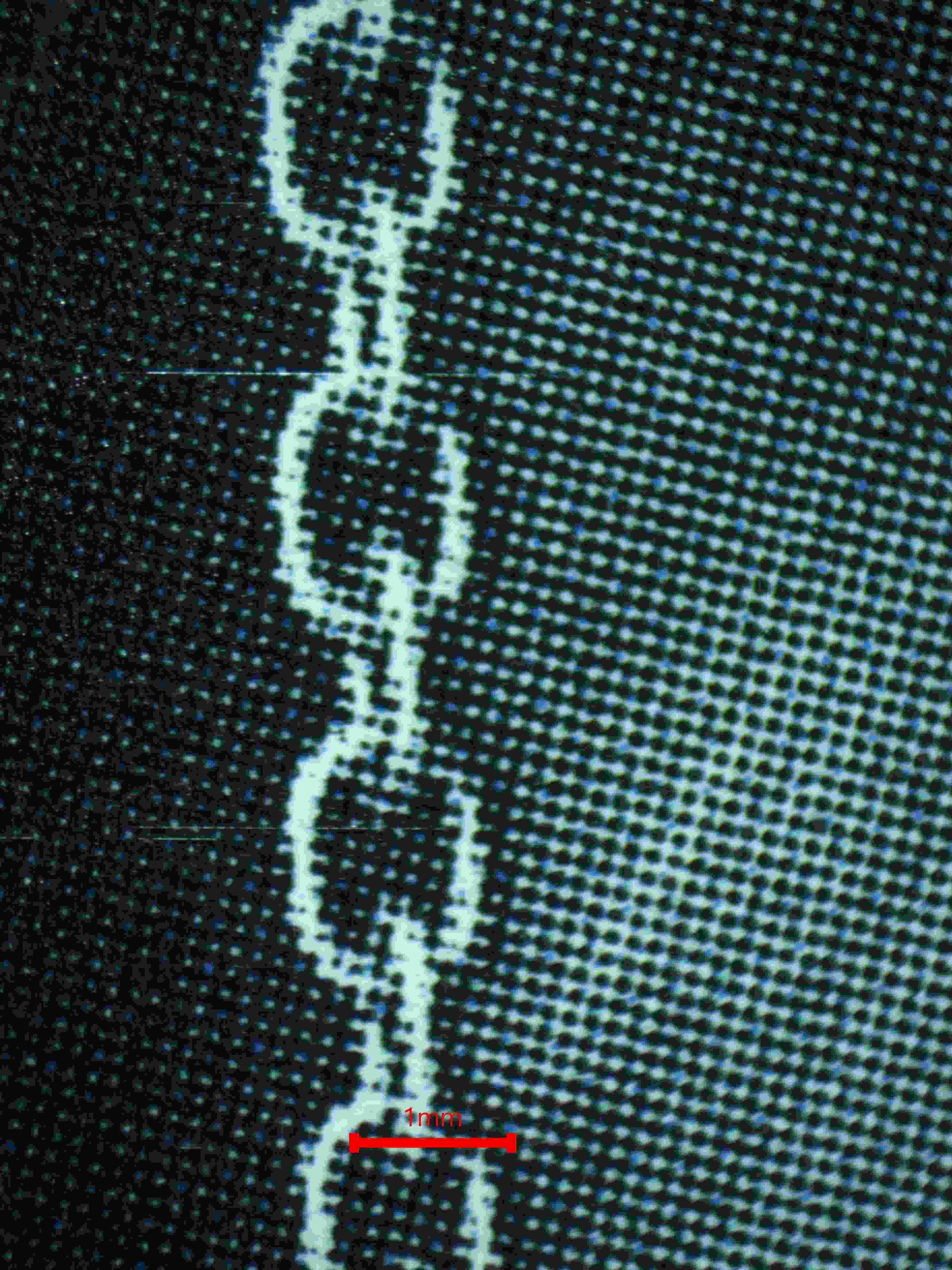 06309 TWIN SHOT (JAPANESE) Grading Card