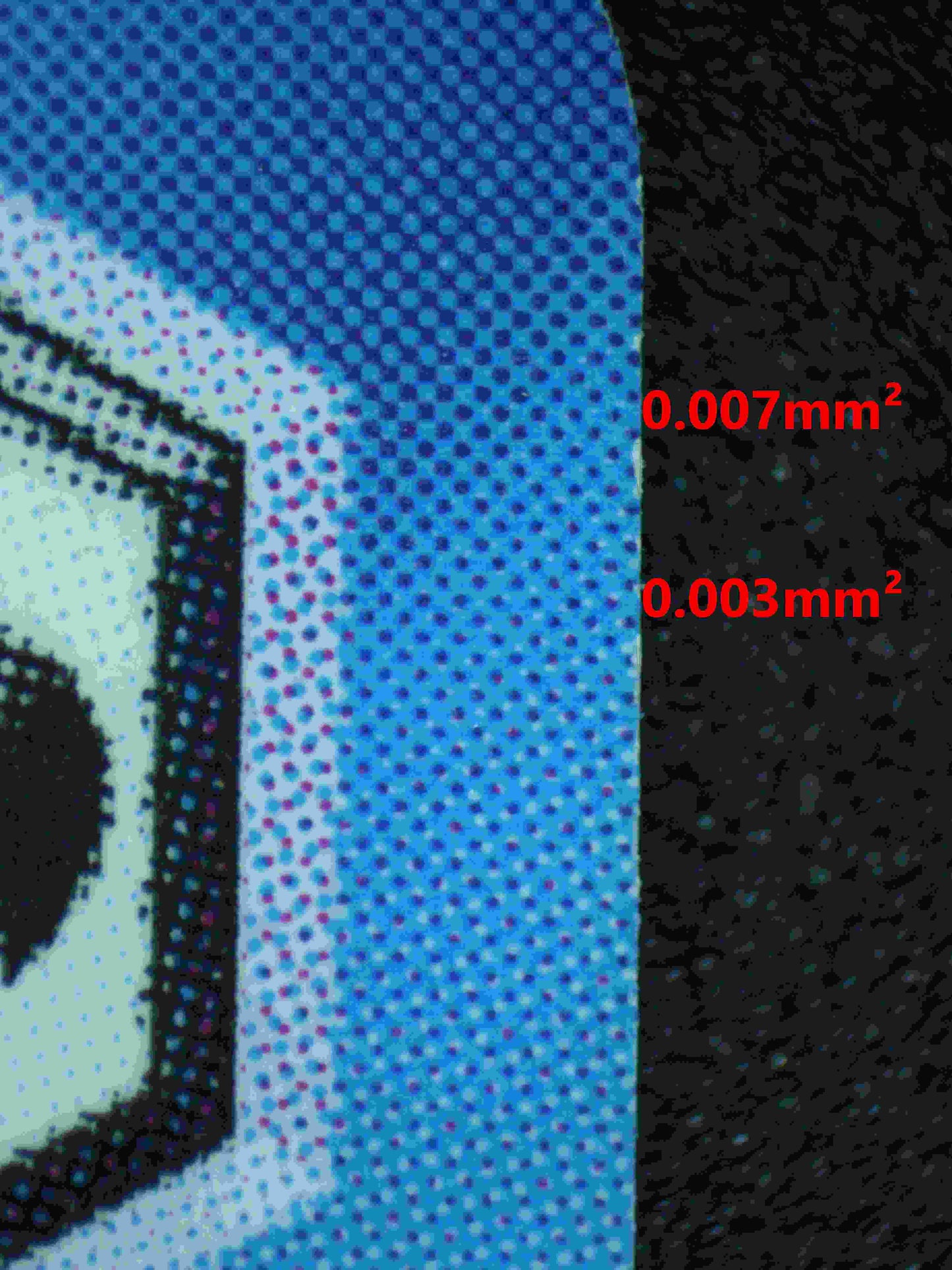 06314 SOCCER PRODIGY, TSUBASA OZORA (JAPANESE) Grading Card