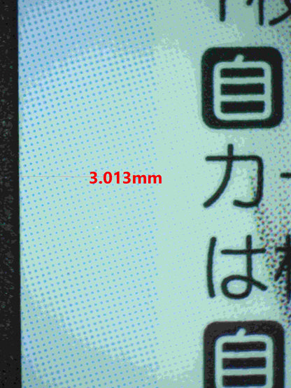 06319 JAPANESE JR. YOUTH REPRESENTATIVE, TARO MISAKI (JAPANESE) Grading Card