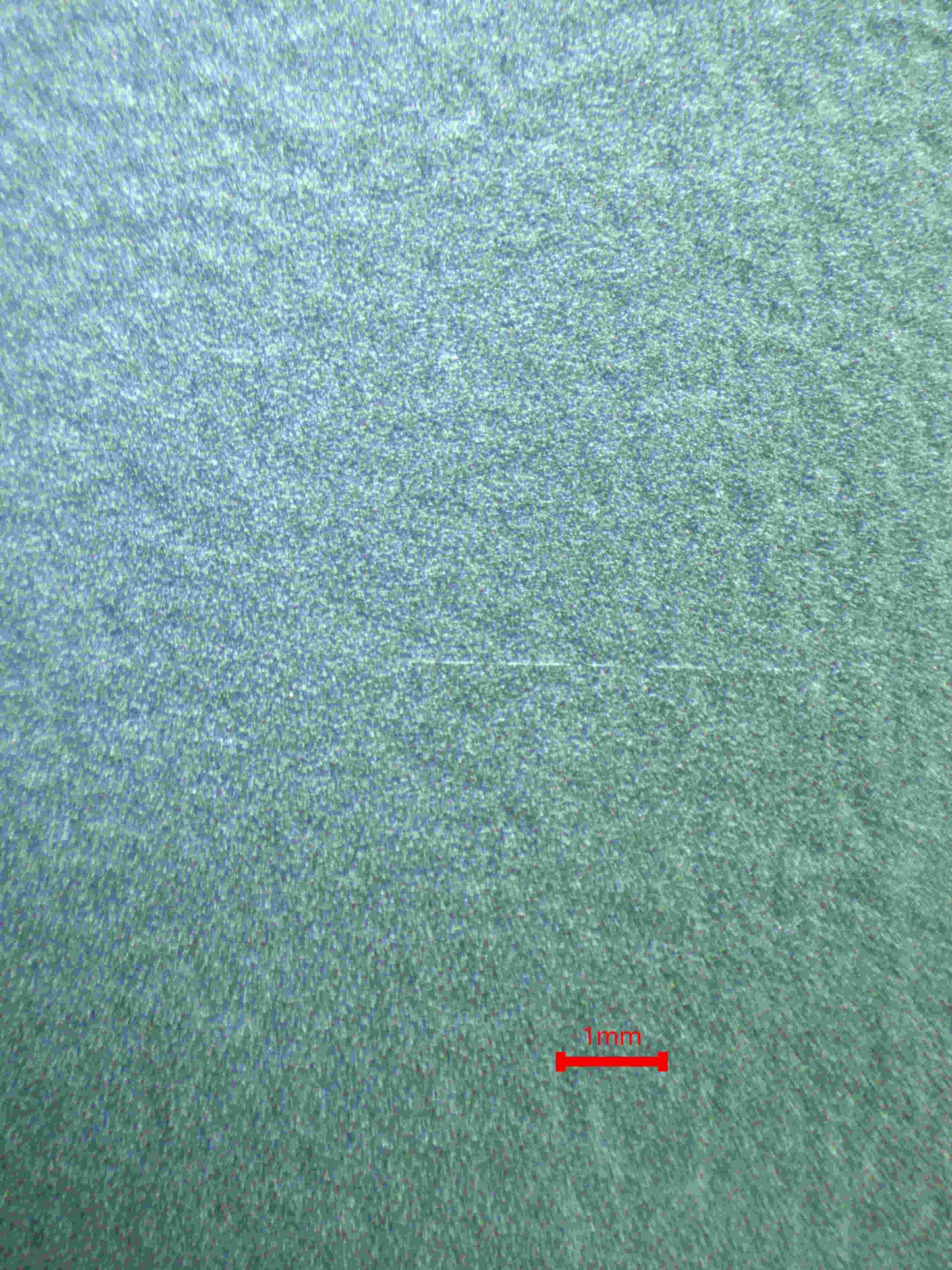 06328 EEVEE (JAPANESE) Grading Card