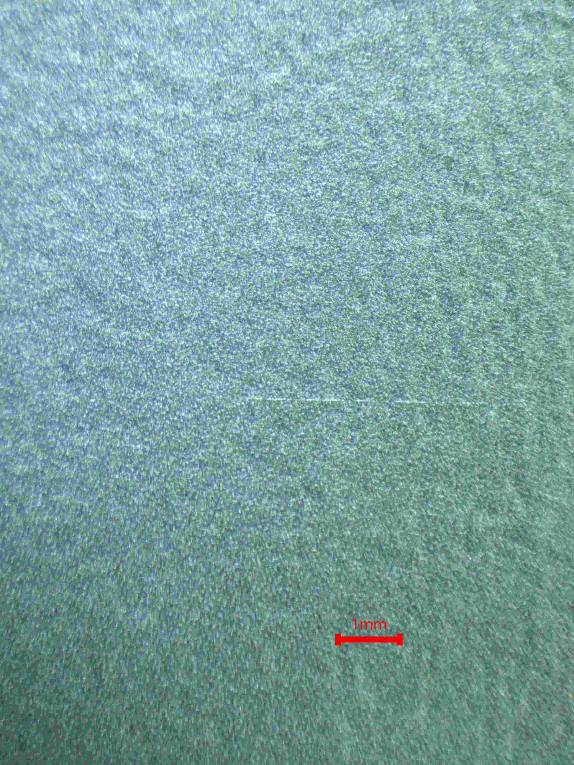 06328 EEVEE (JAPANESE) Grading Card