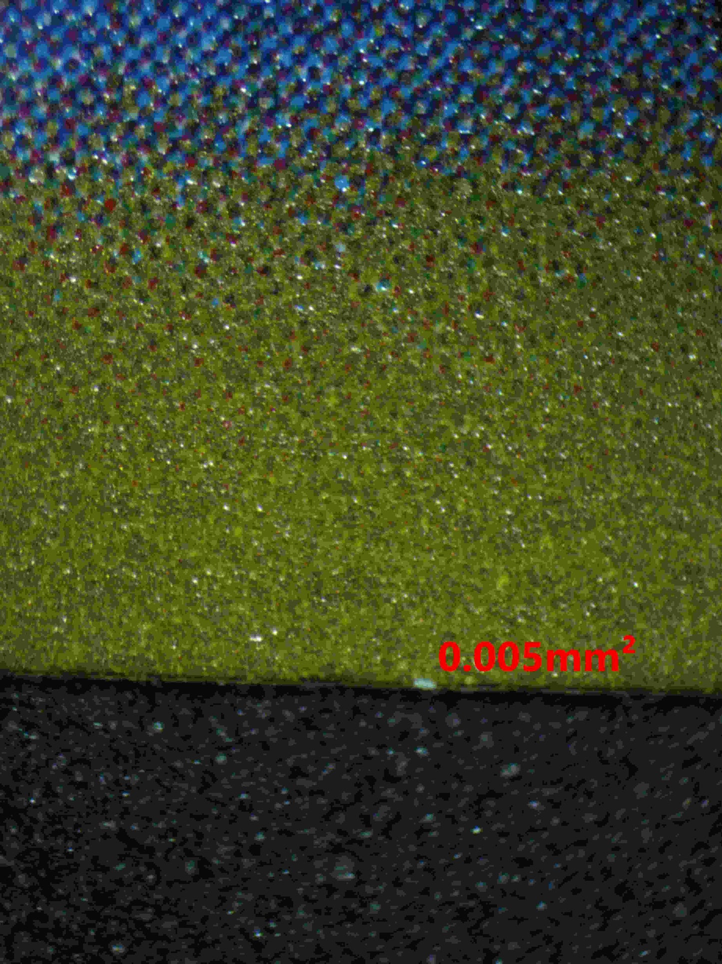 06329 VAPOREON (JAPANESE) Grading Card