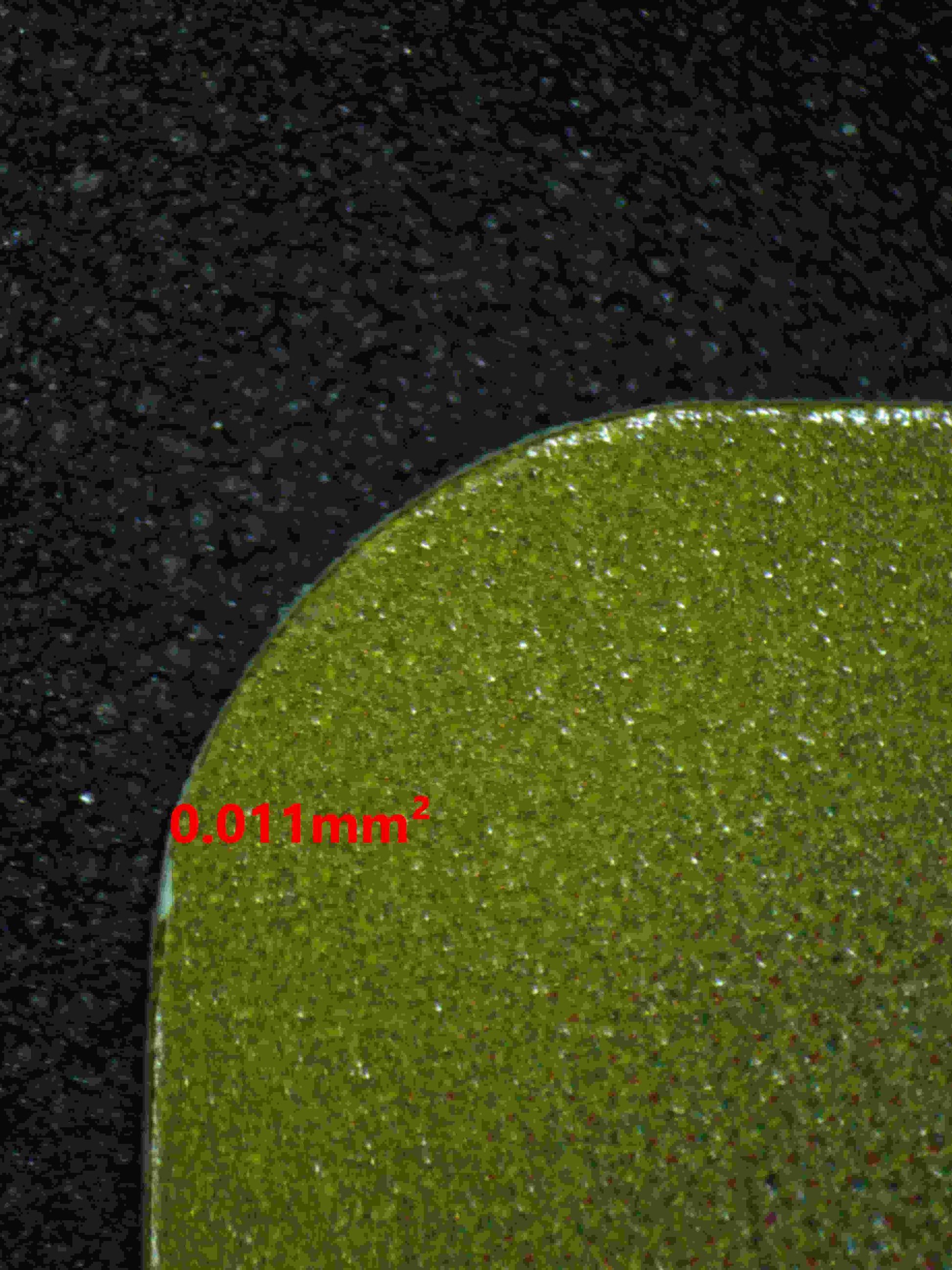 06333 UMBREON (JAPANESE) Grading Card