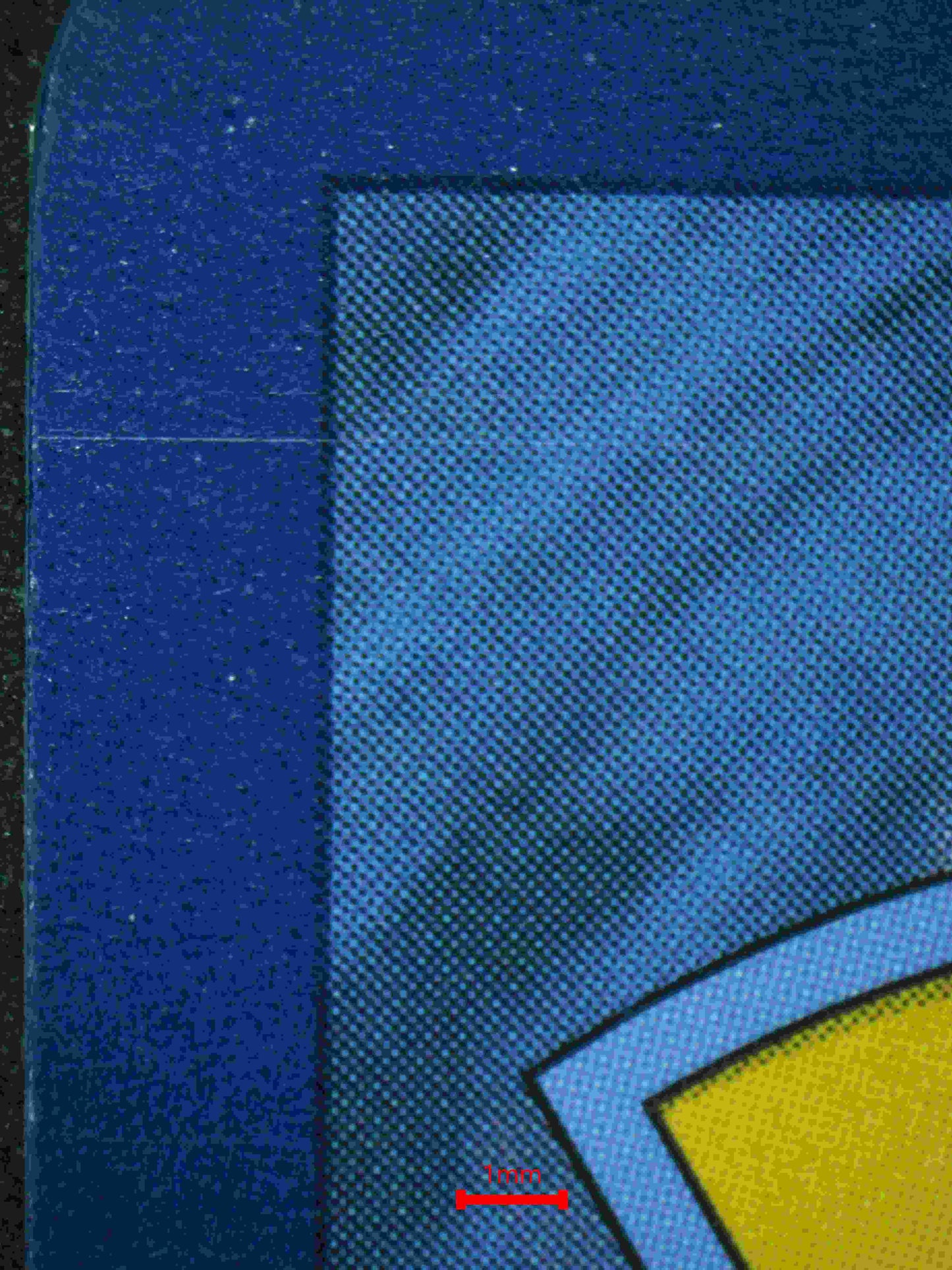 06339 CHARIZARD EX Grading Card