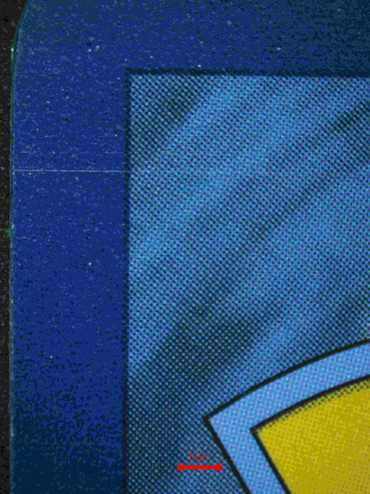 06339 CHARIZARD EX Grading Card