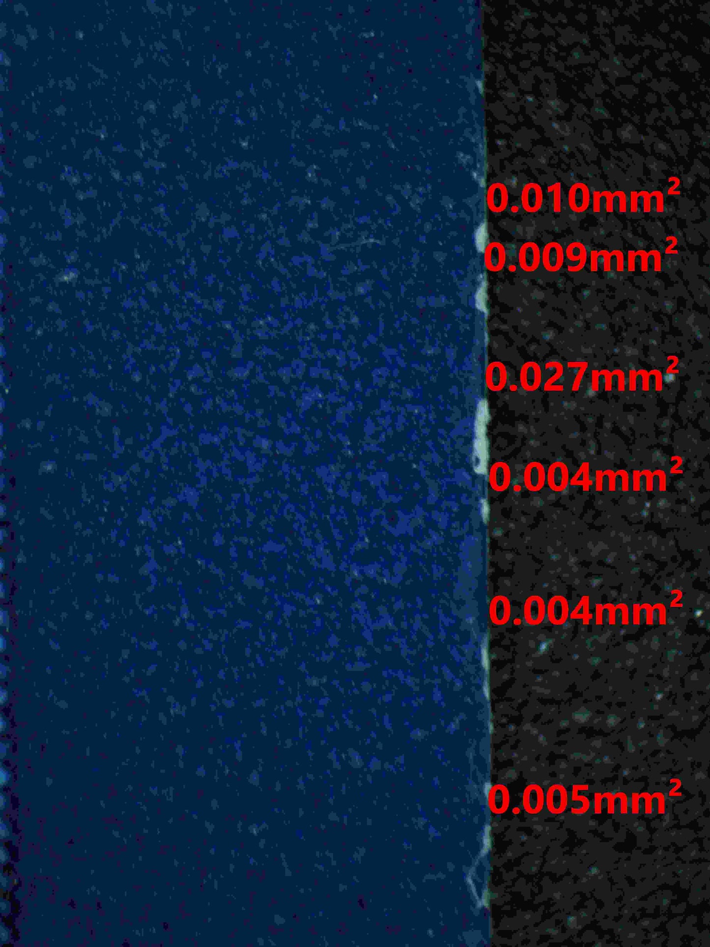 06339 CHARIZARD EX Grading Card