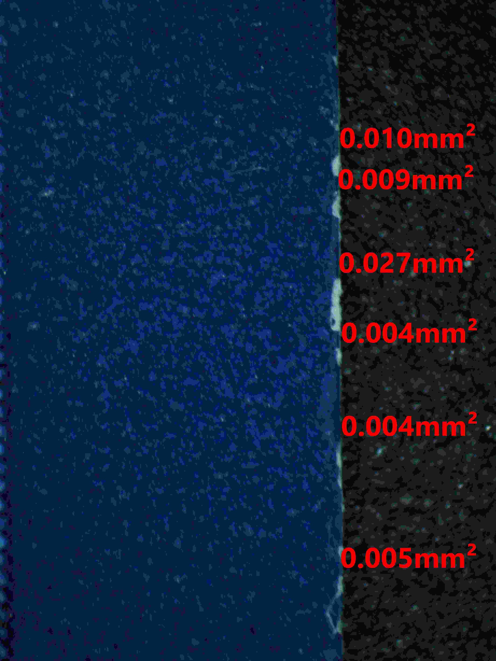 06339 CHARIZARD EX Grading Card