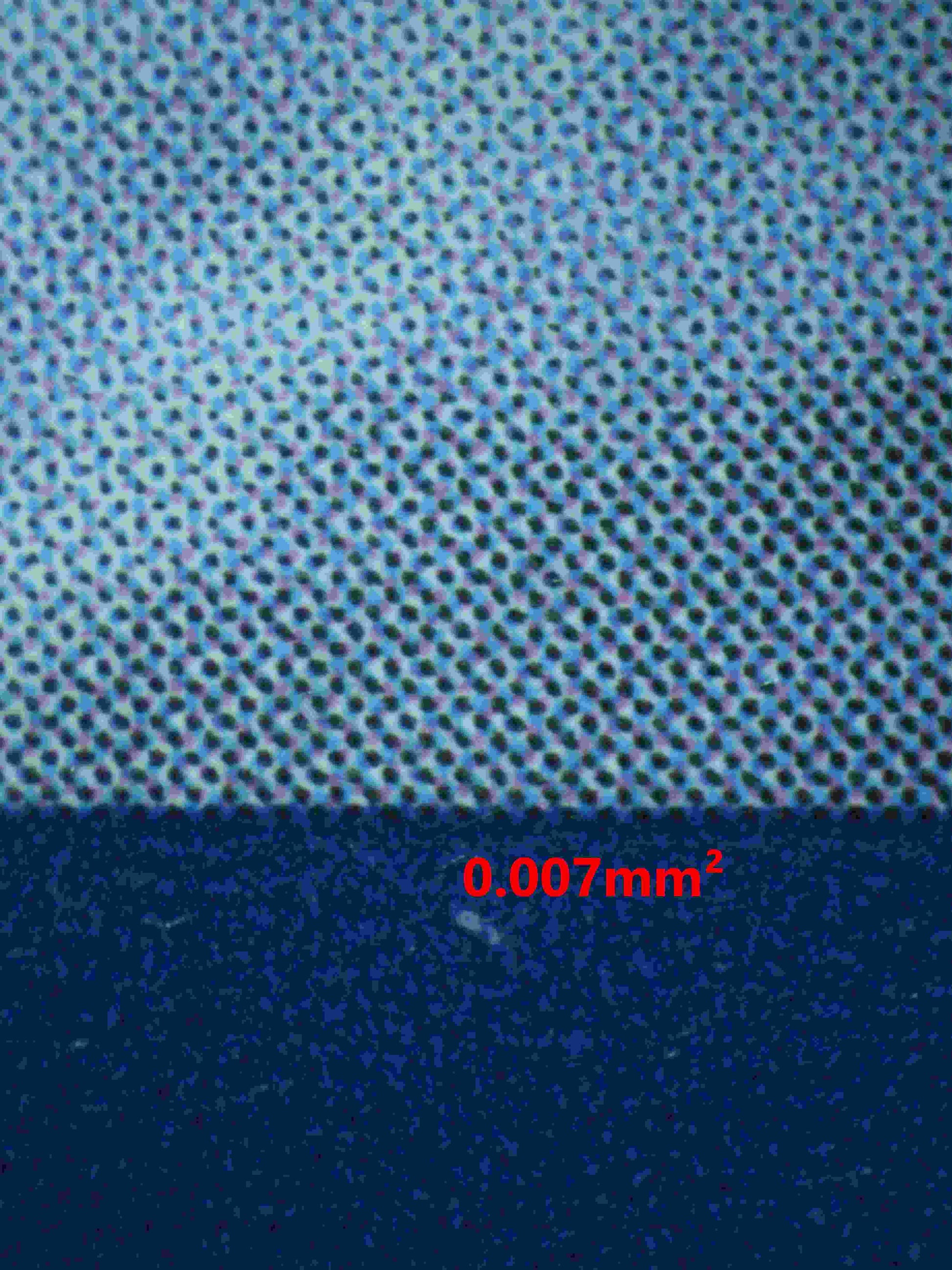 06342 N'S ZOROARK EX Grading Card