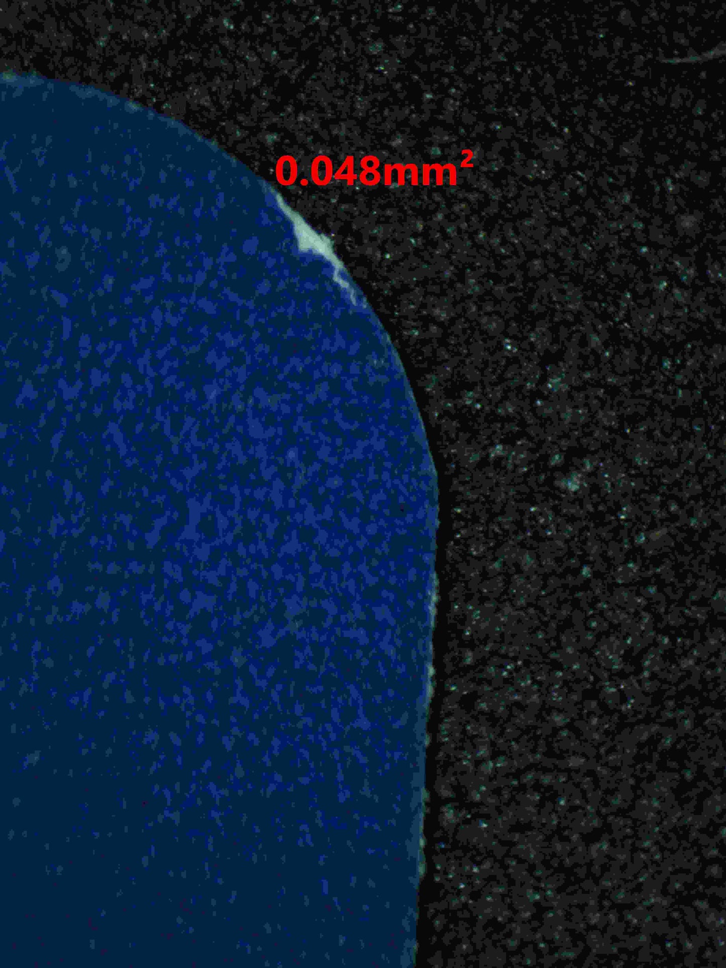 06342 N'S ZOROARK EX Grading Card