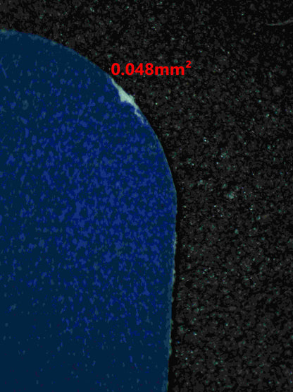 06342 N'S ZOROARK EX Grading Card