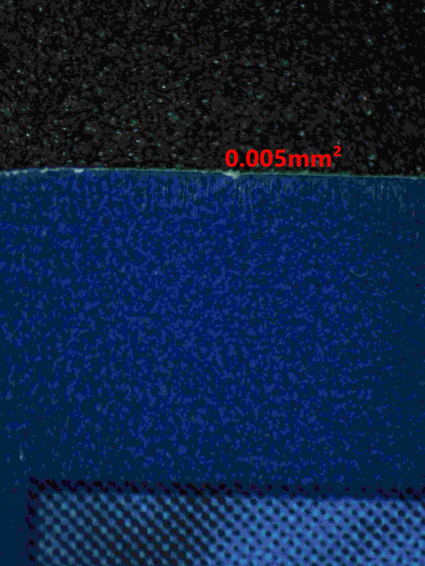 06342 N'S ZOROARK EX Grading Card