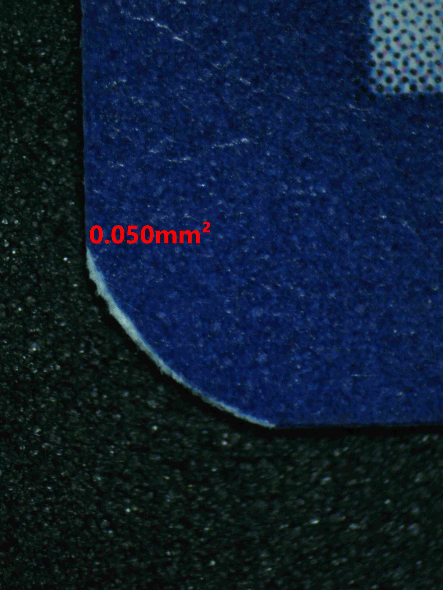 06343 CHARMANDER Grading Card